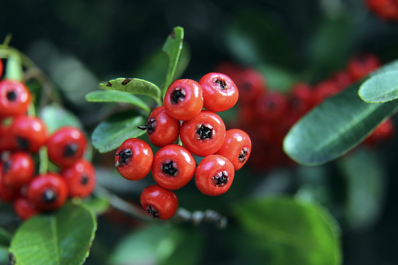 爱始终未减 爱始终未减