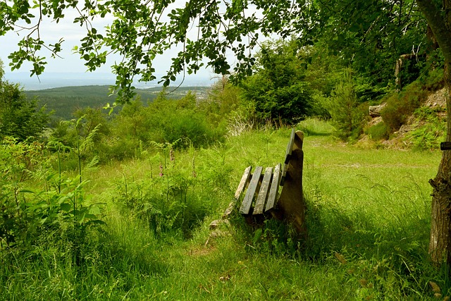 一竞争激烈 一竞争激烈