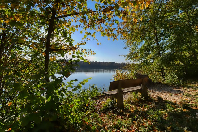 总结来看 总结来看