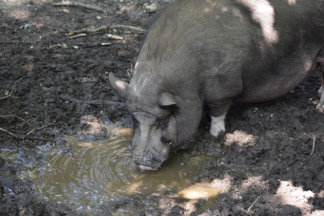 迅速适应并 迅速适应并