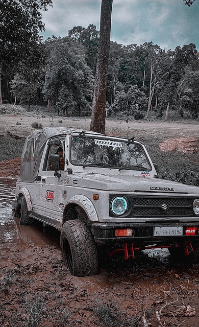 战术和防御 战术和防御